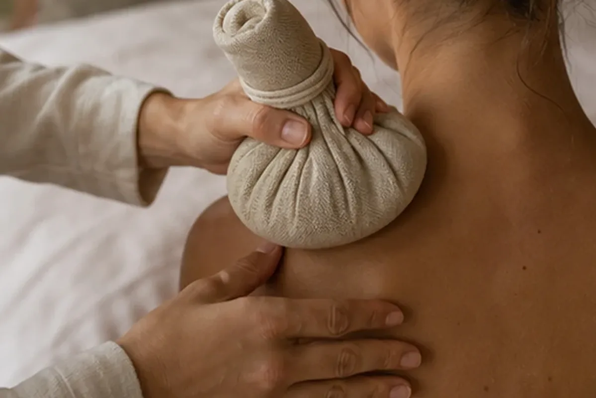 Redaktionelle Detailaufnahme zur Orientierung bei Haarbürste für strapaziertes Haar